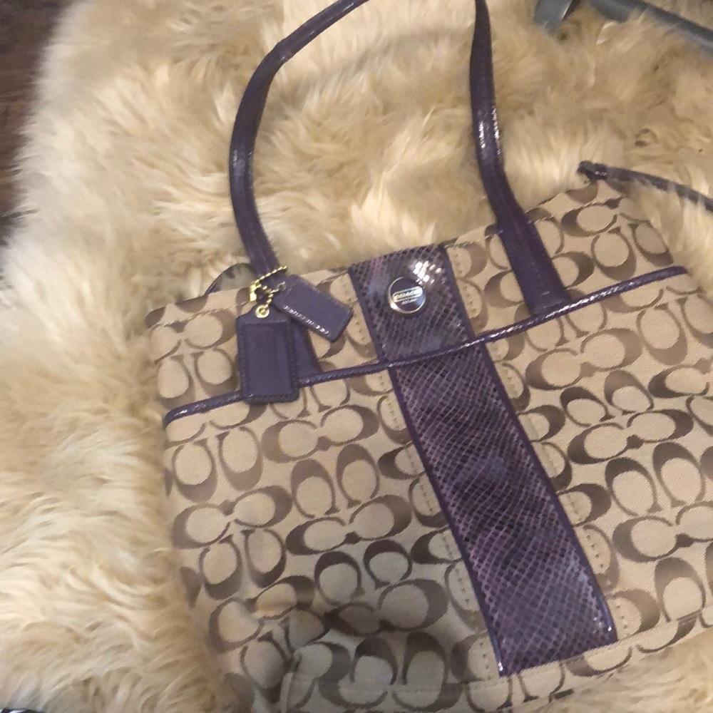 Purple and Brown Coach Purse
